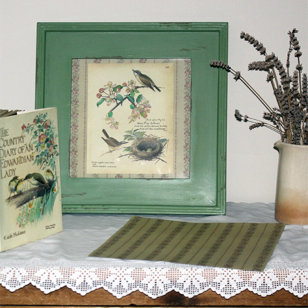 Framed Bird Picture - athomeincornwall