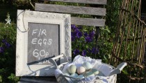 Painted Wire Baskets