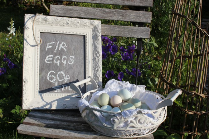 Painted Wire Baskets