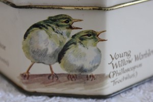 Shabby chic vintage bird tin 00473