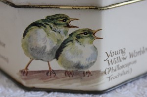 Shabby chic vintage bird tin 00473