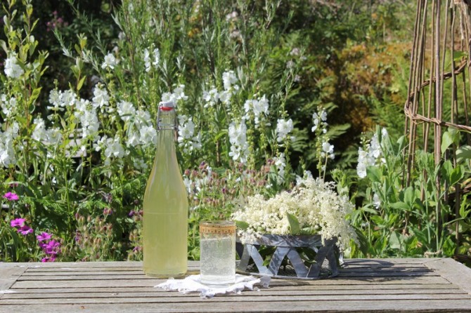 Best and Easiest Elderflower Cordial Recipe