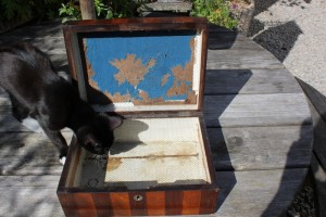 vintage fair finds - old wooden box